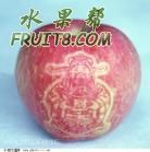 u=1029888304,775453465&fm=4&gp=2.jpg