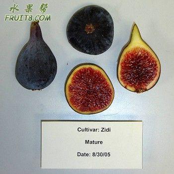 Zidi.jpg