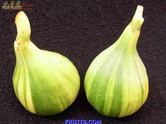 45_3441_20cc28f69ada9de.jpg