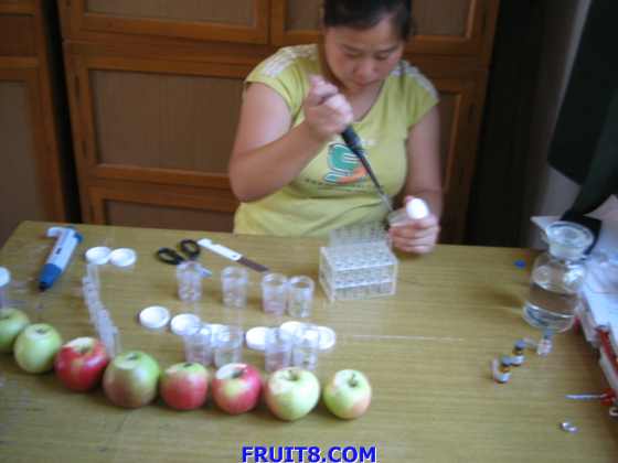 20080730.ipg 004.jpg