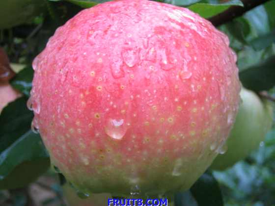 20080722pg 027.jpg