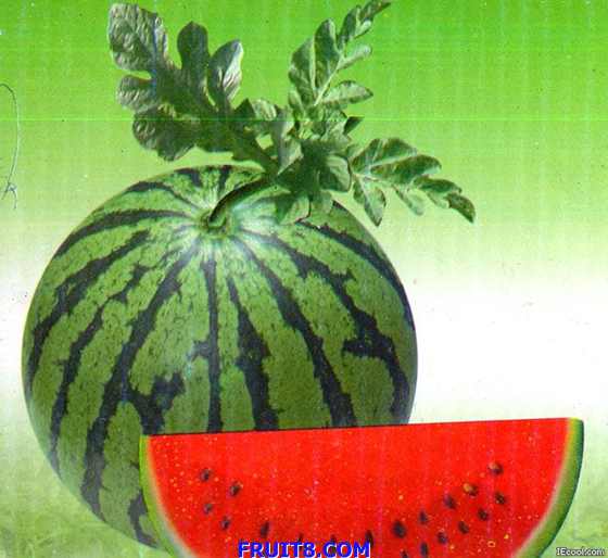 2007726220053.jpg