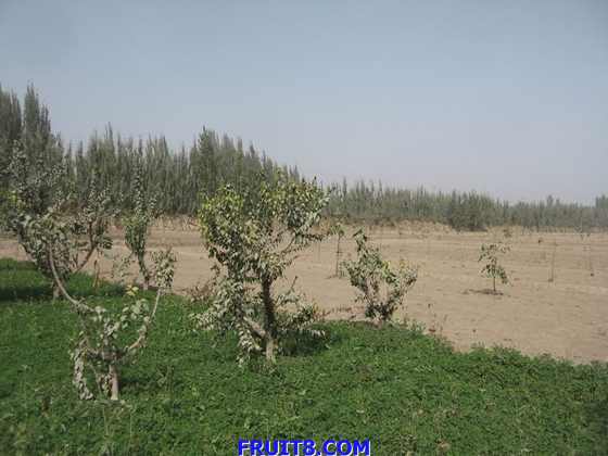 С IMG_1409.jpg