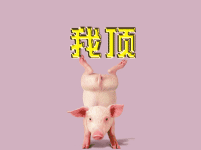 15.gif