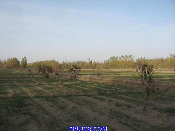 С IMG_2602.jpg