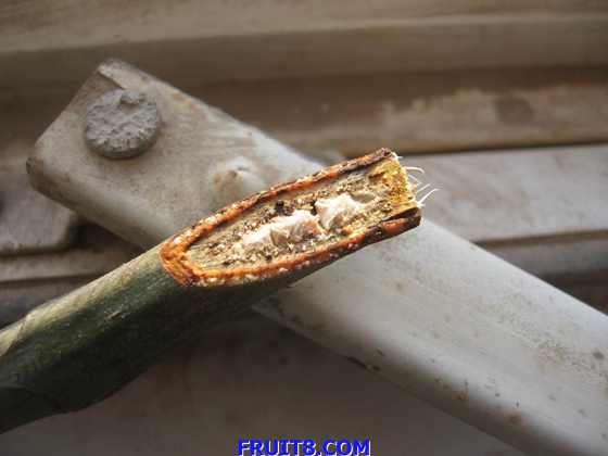 ������С IMG_2661.jpg