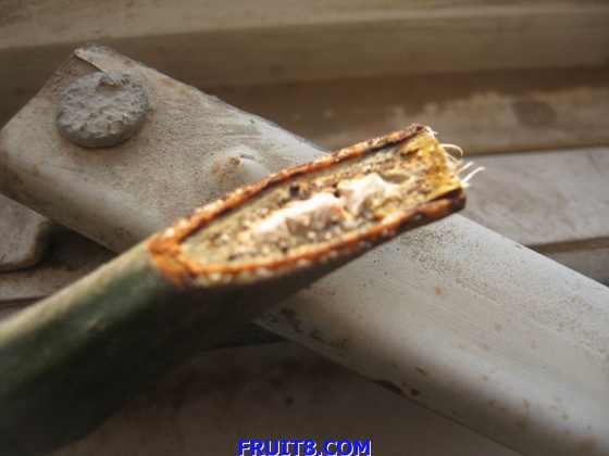 ������С IMG_2668.jpg