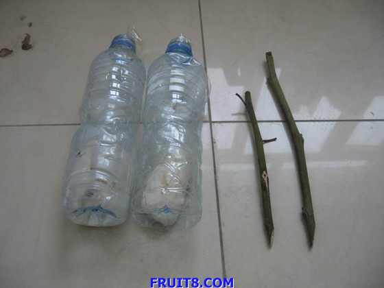 ������С IMG_2659.jpg