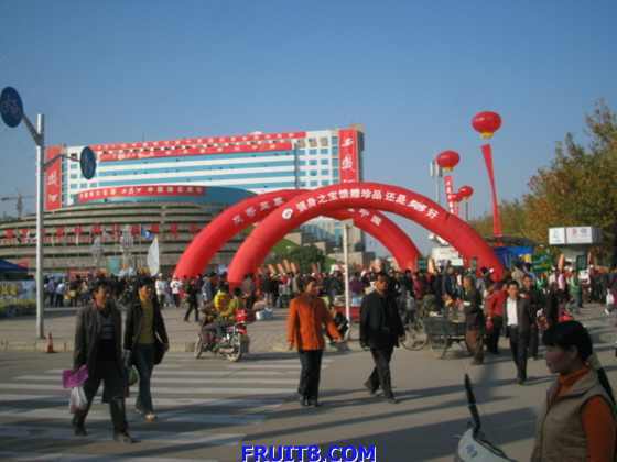 2008ngh 040.jpg