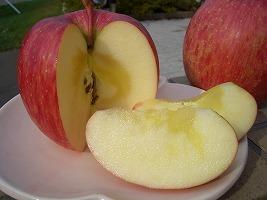 img10353935646.jpg