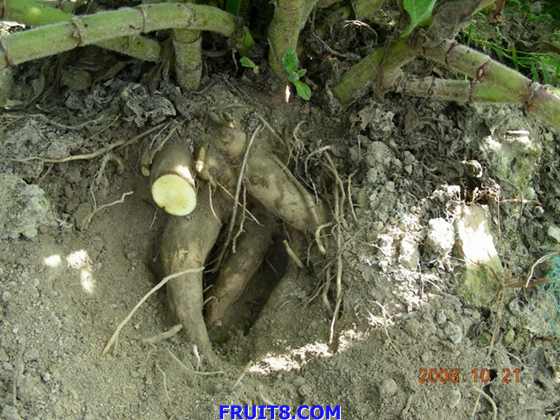 DSCN2377.JPG
