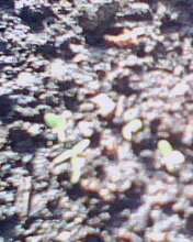 IMG0048A.jpg