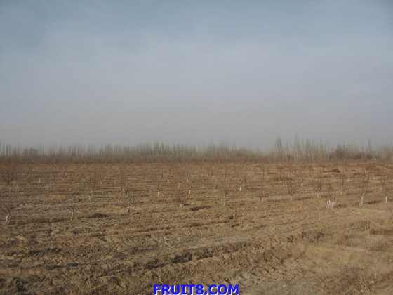 Resize of IMG_4275.jpg