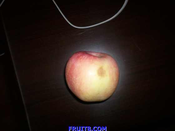 apple_007.jpg