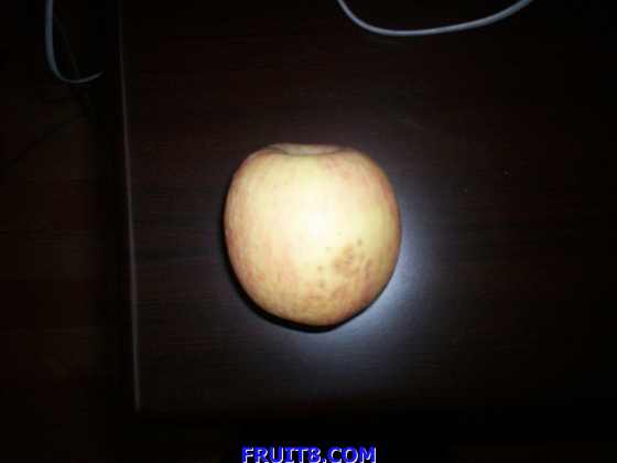 apple_008.jpg
