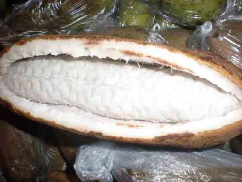 Resize Wizard-15.jpg