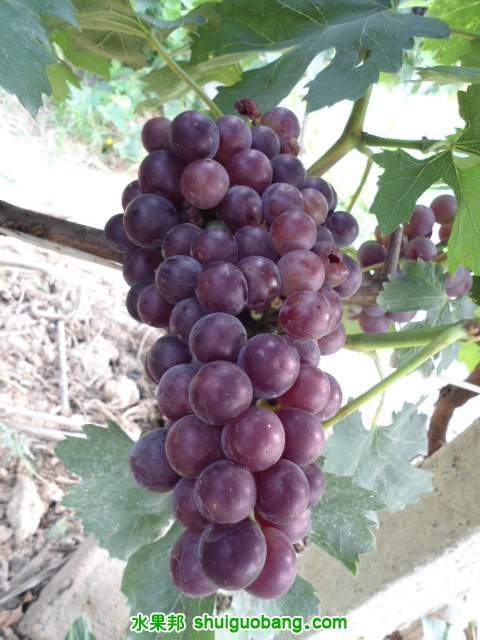 DSC00185.JPG