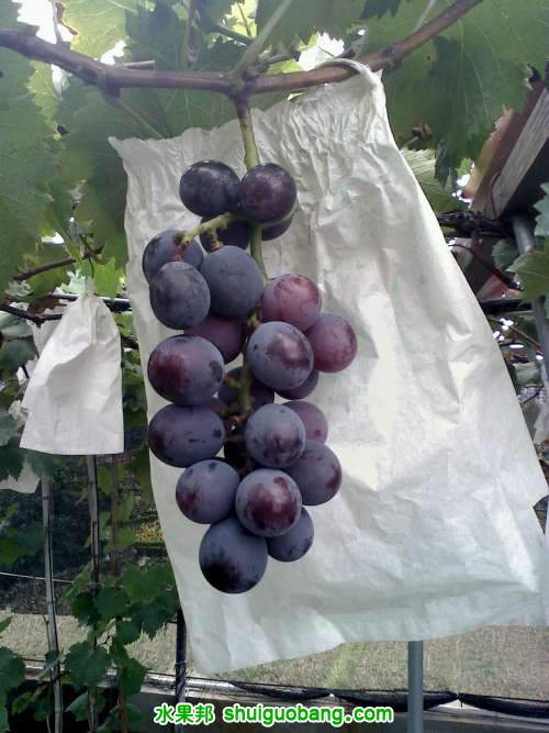 20110713144355.jpg