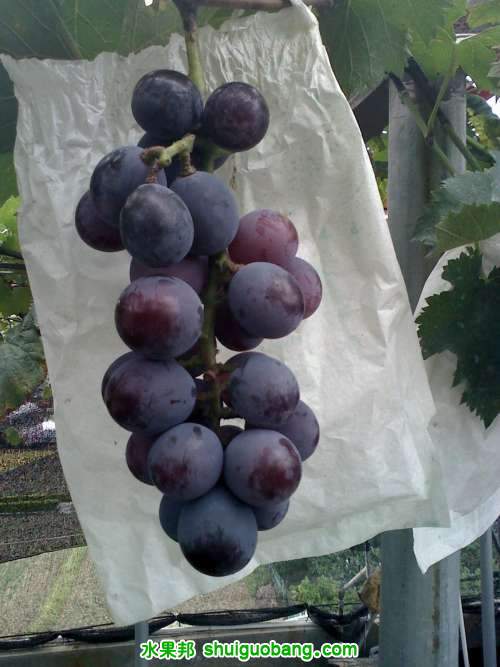 20110713144445.jpg