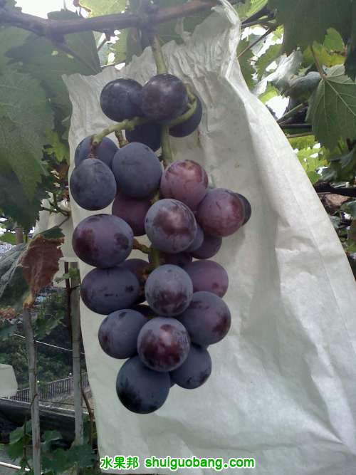20110713144600.jpg