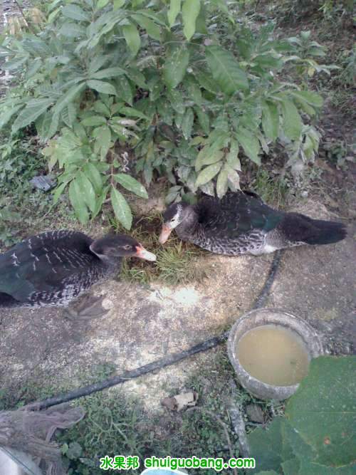 20110713175121.jpg