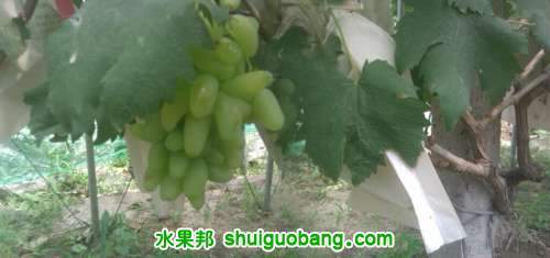 IMAG0153.jpg