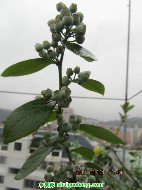IMG_2956.jpg