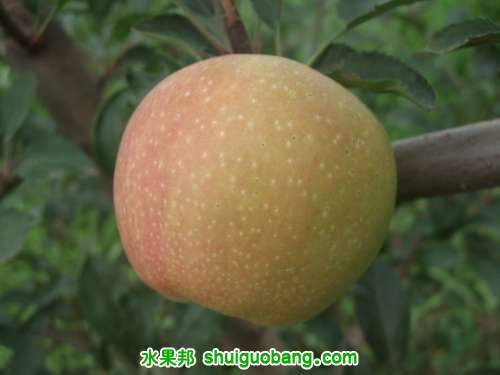 7��20��3�š����񡢺��¶���ƽ�� 014.jpg
