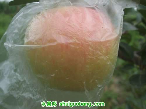 7��20��3�š����񡢺��¶���ƽ�� 016.jpg