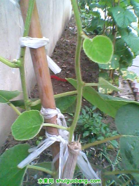 IMG0006A.jpg