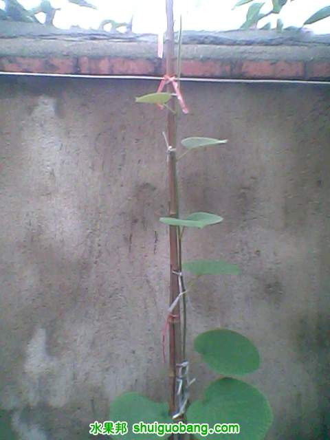IMG0010A.jpg
