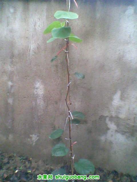 IMG0012A.jpg