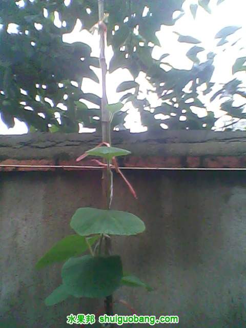IMG0013A.jpg