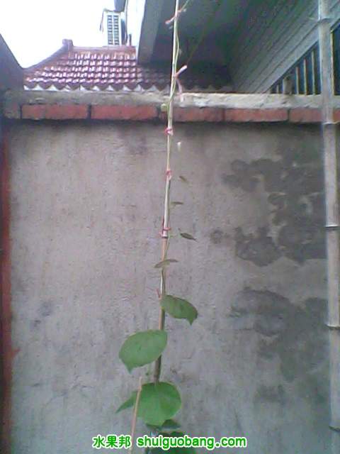 IMG0015A.jpg