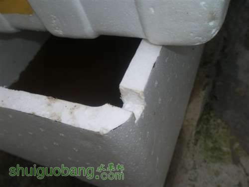 10.俪ȱڷ.JPG
