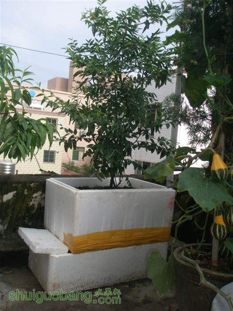 14.Ȼ̻֮.JPG
