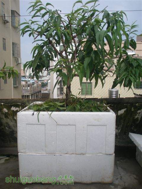 15.Ȼ̻֮ˮ.JPG