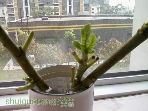 ��Ƭ-0003.jpg