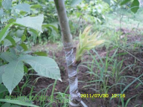 SDC10412.JPG
