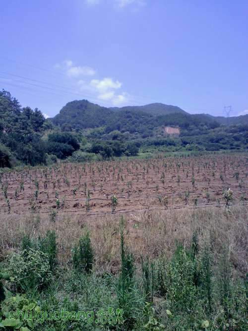 20110731121231.jpg
