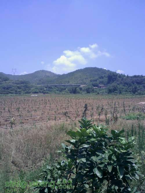 20110731121243.jpg