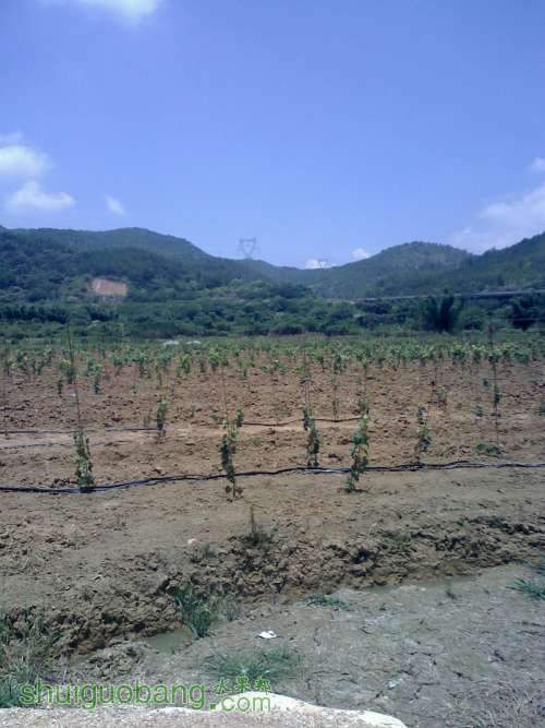 20110731121707.jpg