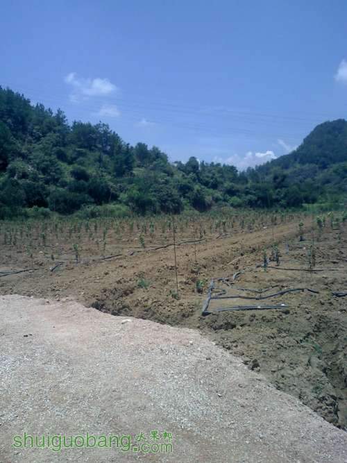 20110731121721.jpg