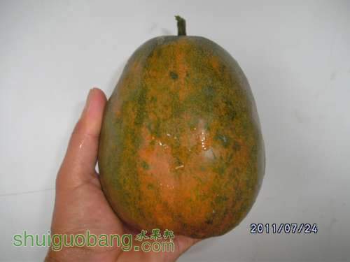 DSCK1201.jpg