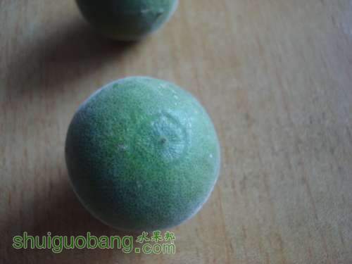 DSC01360.JPG