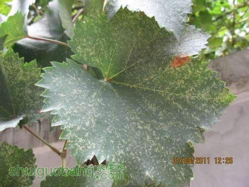 ��Ƭ0807 009.jpg