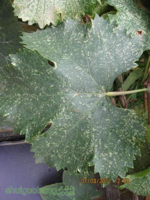 ��Ƭ0807 011.jpg