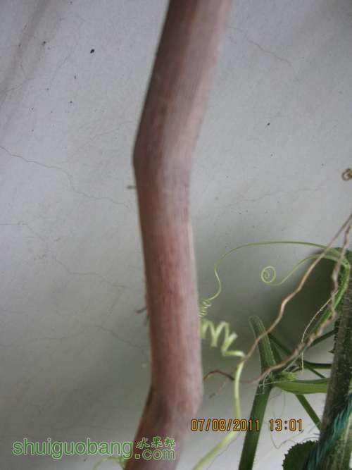��Ƭ0807 016.jpg