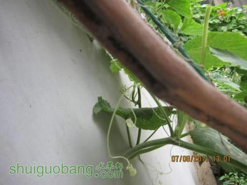 ��Ƭ0807 017.jpg