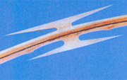 barbed-tape-wire-7.jpg